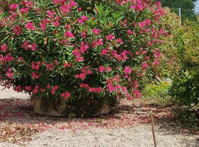 Montesquiou-chalet-5 Personnes Σαλέ *