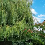 Montesquiou-chalet-5 Personnes *