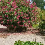 Montesquiou-chalet-5 Personnes Alpstuga *