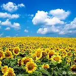 Montesquiou-chalet-5 Personnes Montesquiou