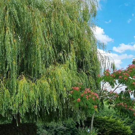 Montesquiou-chalet-5 Personnes *