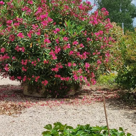 Montesquiou-chalet-5 Personnes Chalet *