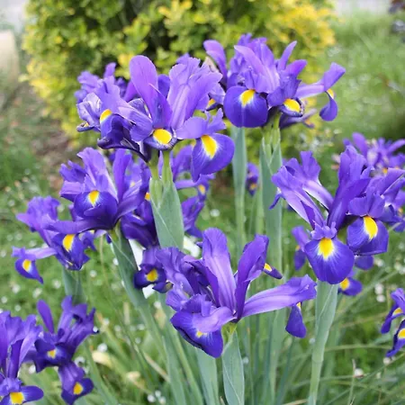 Chalet Montesquiou-chalet-5 Personnes