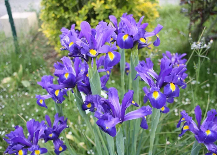 Chalet Montesquiou-chalet-5 Personnes