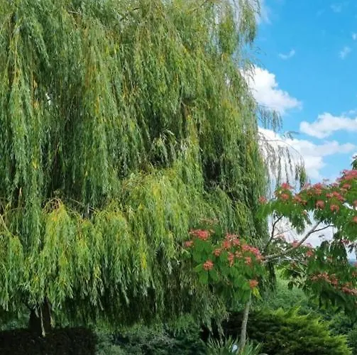 Montesquiou-chalet-5 Personnes Chalet